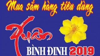 Hội chợ Xuân Bình Định 2019