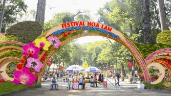 Festival Hoa lan TP.HCM 2019