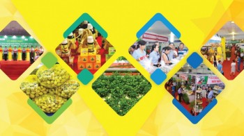 Hội chợ Khuyến mại Quận Tân Bình năm 2020