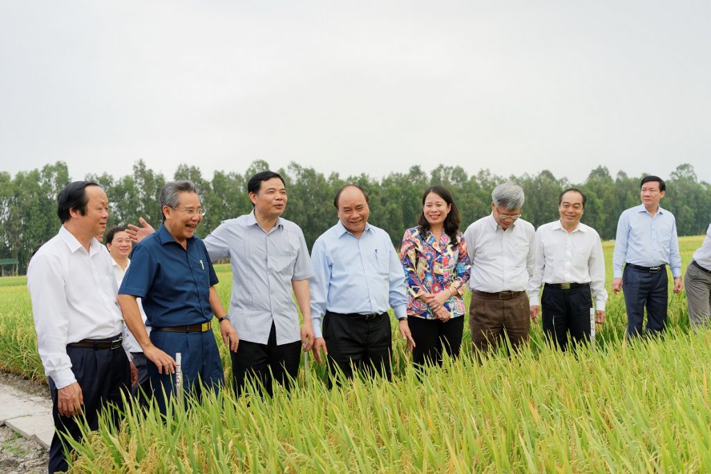 NIỀM TIN YÊU CỦA NÔNG DÂN, ĐỐI TÁC VÀ SỰ GHI NHẬN CỦA CỘNG ĐỒNG LÀ THÀNH TỰU QUÝ GIÁ CỦA Tập đoàn Lộc Trời