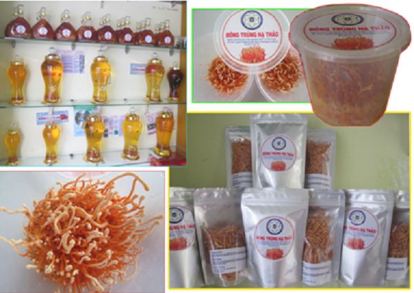 Sản phẩm - Thực phẩm sạch